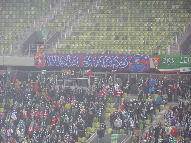 Wisla Sharks banner